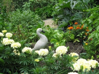 flowers and vegetables growing together