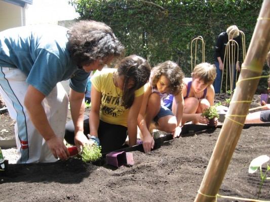 planting together