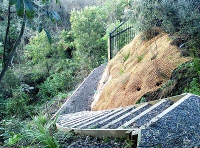 native planting and Ecoir mat installed to stabilise the gully bank