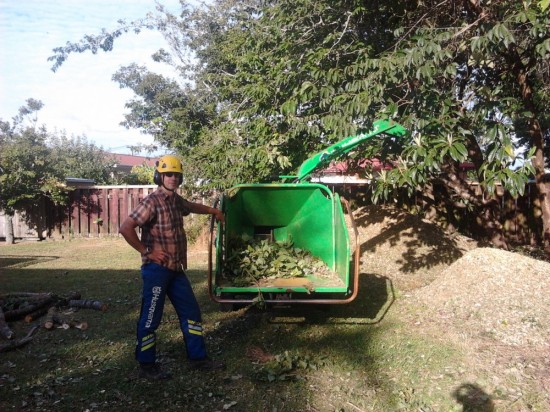 we can chip your prunings on site