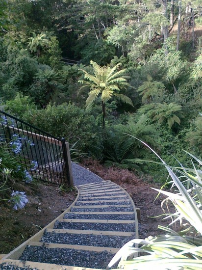 gently curving gully steps give access to the forest