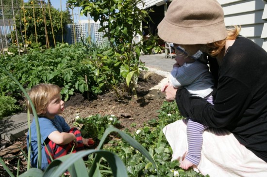 a freshly picked strawberry is hard to beat!