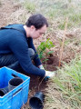 restoring retired pasture to forest on the Raglan coast.